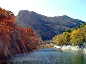 新澳天天开奖资料大全旅游团，重生之曼珠沙华的诅咒